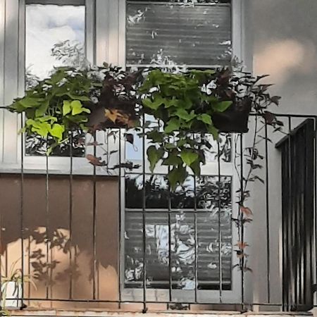 Apartament Jak W Domu Zamosc  Exterior photo